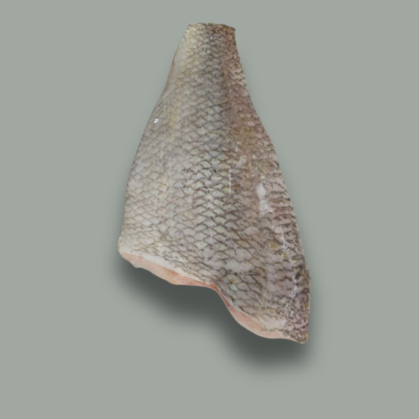 Fillet Capitaine