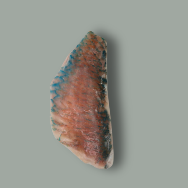 Fillet Cateau