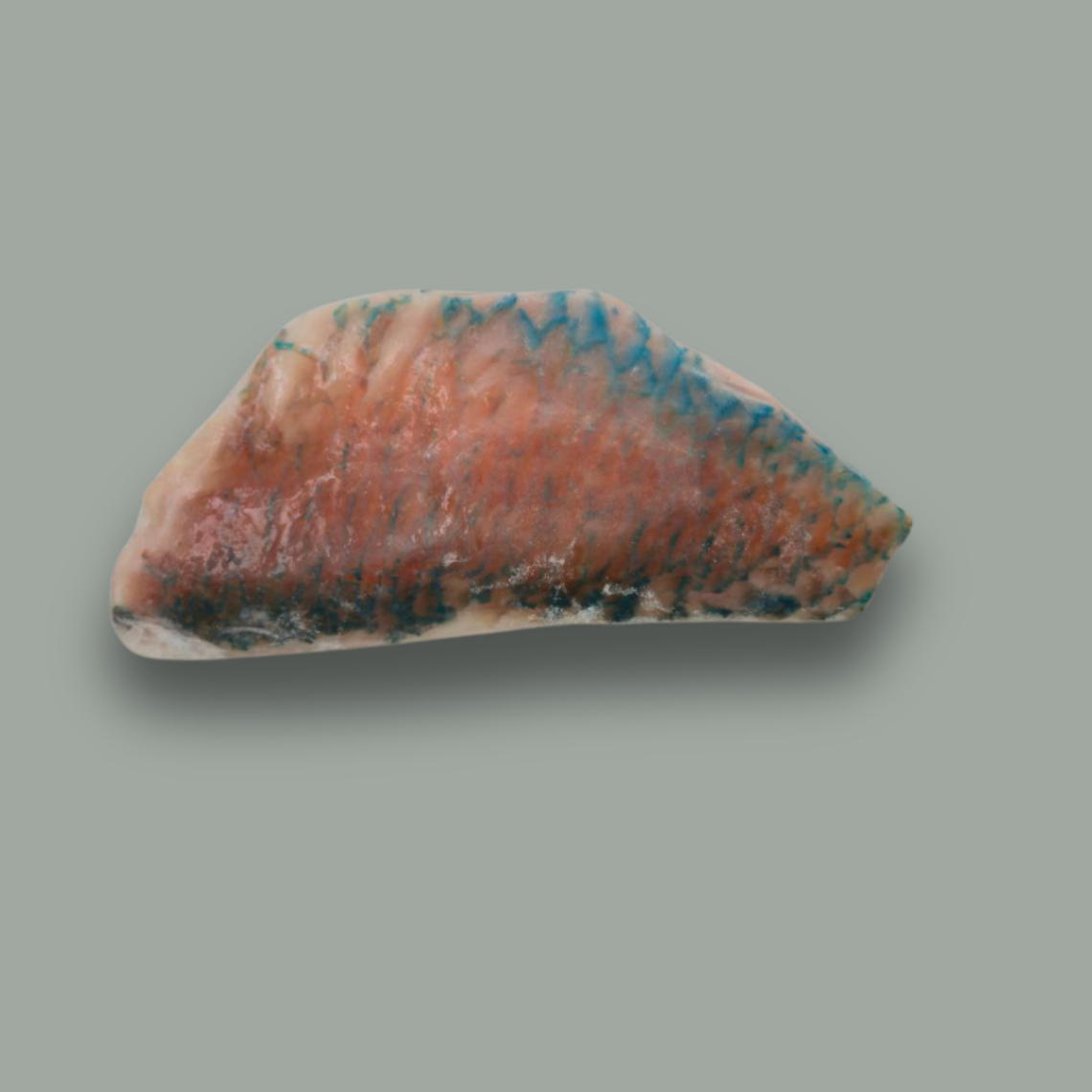 Fillet Cateau - Image 5