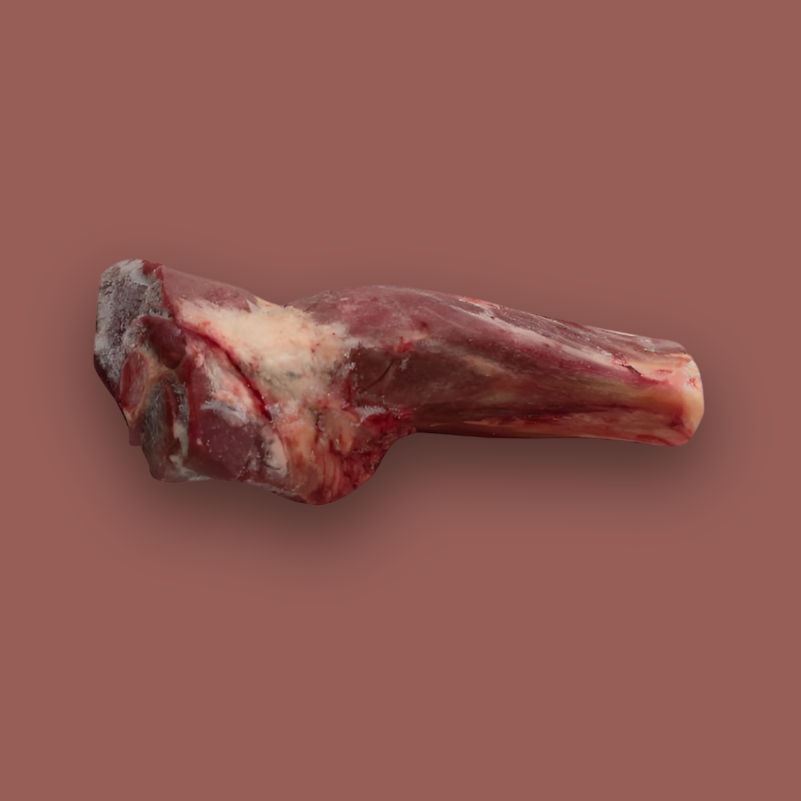 Zarret Agneau - Image 2